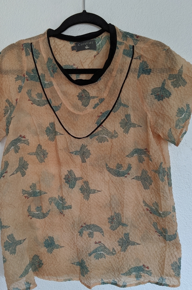 Cotelac sheer blouse